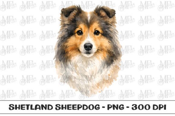 Sheltie Watercolor Portrait PNG: A Designer's Go-To Canine Asset